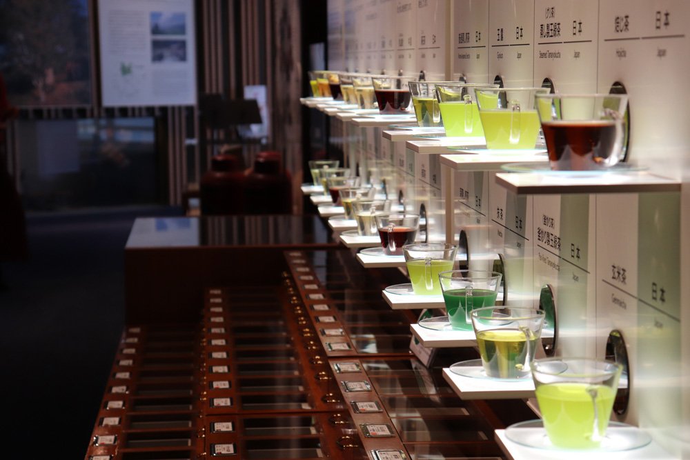 🏛️ 후지노쿠니 지구환경사 뮤지엄(ふじのくにちきゅうかんきょうしミュージアム) 이미지 5